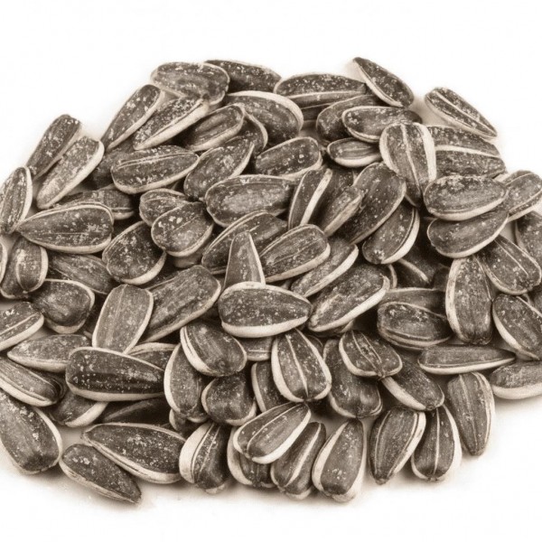 Tuzlu Dakota Çekirdeği 250 Gr